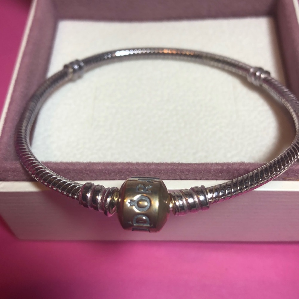 NWOT in Box Authentic Pandora Charm Bracelet